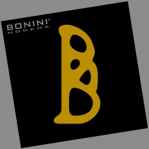 1384946919_2200_1_logo_reg_bonini