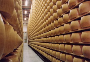 Parmigiano-Reggiano-forme-in-stagionatura