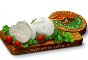 Mozzarella-di-bufala