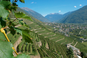 valtellina-1